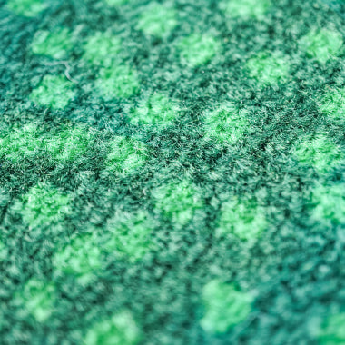 Sammal(苔) 47.5×70cm