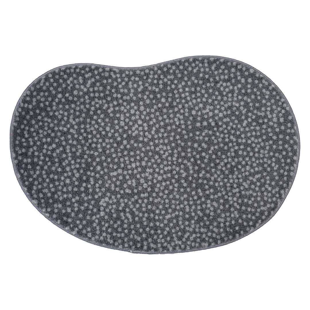 kivi(石) 47.5×70cm